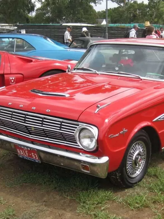 cropped-carros-passaros-capa.webp