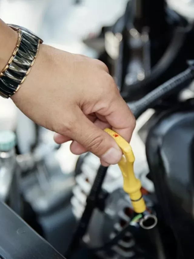 cropped-oleo-motor-2.webp